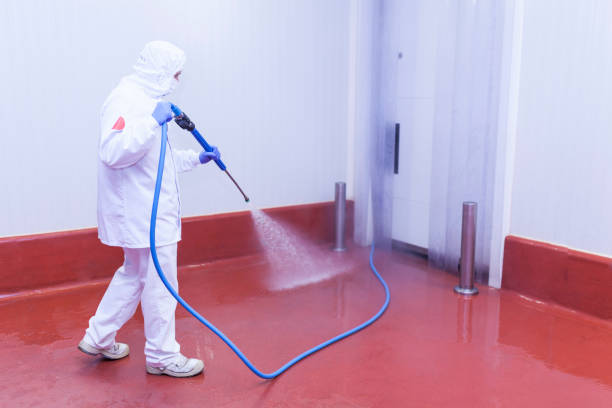 Best Post-Construction Pressure Washing  in Clearwater, MN