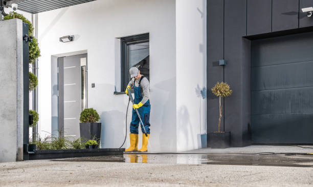 Best Graffiti Removal  in Clearwater, MN